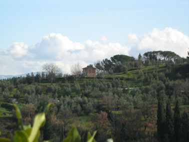 Toscana Florencia Siena Chianti Apartamentos en Agroturismos, Haciendas campestres y Casas rurales