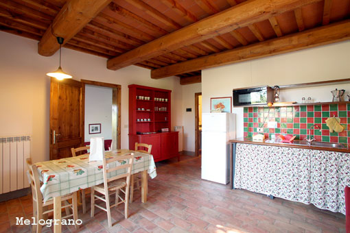 Tuscany Villa Rental and Wide selection of holidays rental accommodation